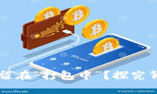 为什么TP钱包总是停留在“打包中”？探究背后的原因与解决方案